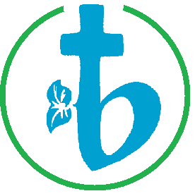 logo blauw