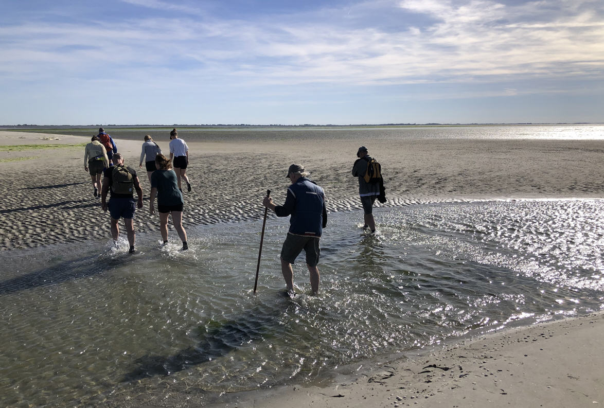 wadlopen 2026
